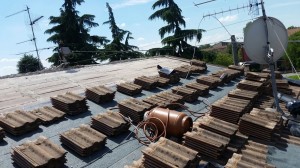 IMG-20160621-WA0005                         