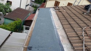IMG-20160621-WA0013                         